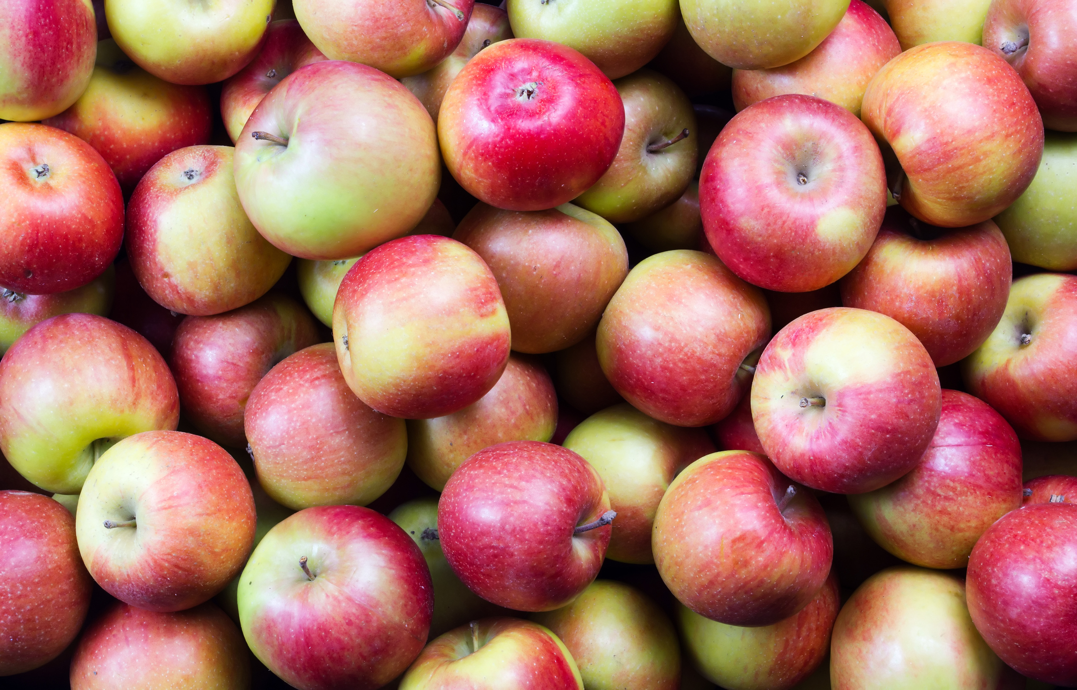 When the Gala apples are ripe, you know summer is almost over